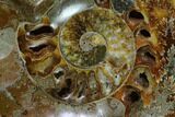 Wide Polished Fossil Ammonite Dish - Inlaid Ammonite #137408-1